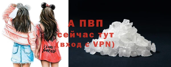 PSILOCYBIN Горняк