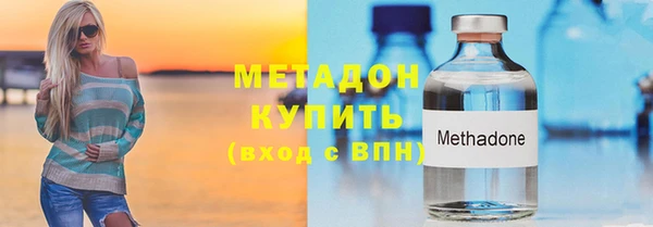 PSILOCYBIN Горняк