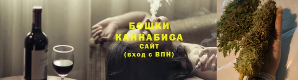 PSILOCYBIN Горняк