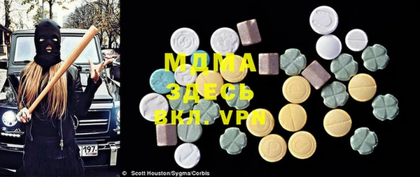 PSILOCYBIN Горняк