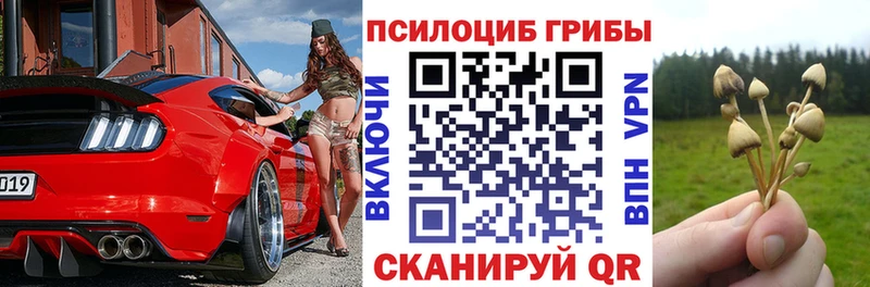 Псилоцибиновые грибы Cubensis  Купить  Купино 